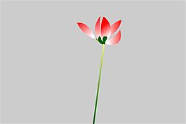 紅花