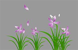 蘭花