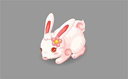 兔子