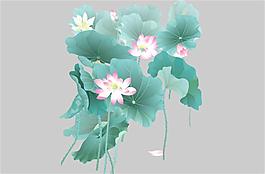 蓮花荷葉