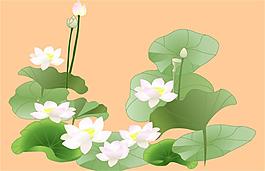 蓮花素材