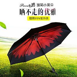 雨伞防晒太阳伞本鸥小黑伞首图主图直通车图