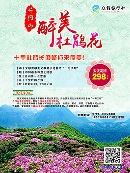 醉美杜鵑花旅游宣傳海報