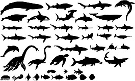 海洋生物