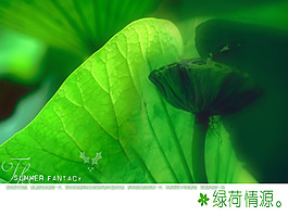 炫彩背景圖