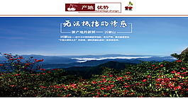 櫻桃