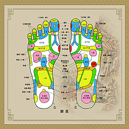 左右腳反射區(qū)