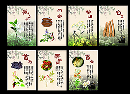 藥材功效圖片