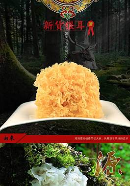 首頁設計