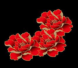 紅色牡丹花