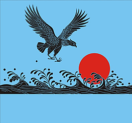 鷹圖片