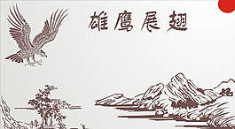 鷹圖片