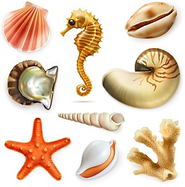海洋生物