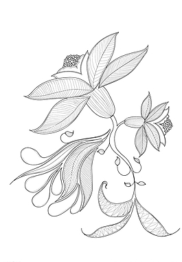 AI精美线描插画图片