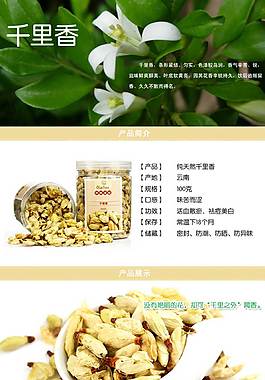 茶葉詳情頁