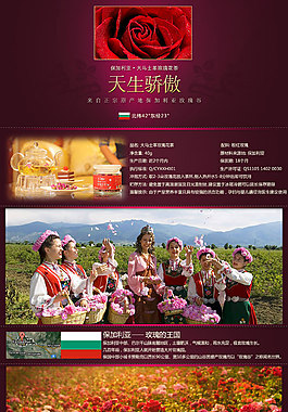 茶葉詳情頁ideapie (95)