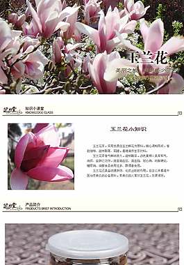 茶葉詳情頁ideapie (110)