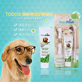 藍(lán)色寵物用品主圖