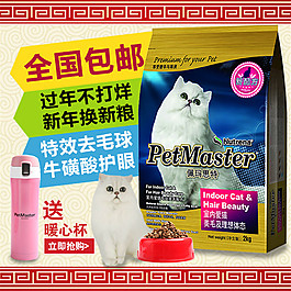 宠物直通车PSD