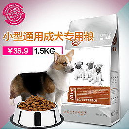 寵物簡(jiǎn)約主圖