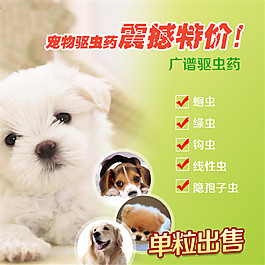 寵物驅蟲藥主圖