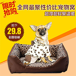 宠物窝主图