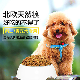 天然狗糧主圖