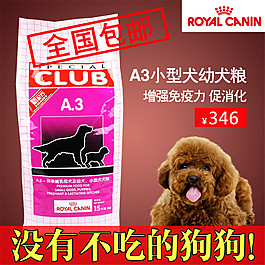 幼犬狗糧寵物主圖