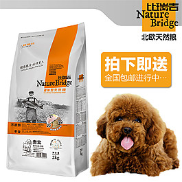 進(jìn)口寵物糧食主圖
