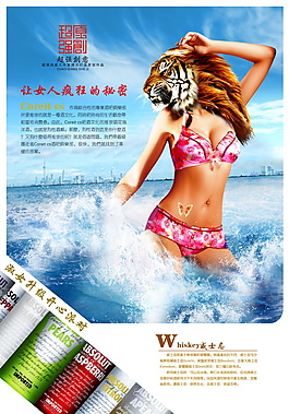 性感淑女文胸套裝內(nèi)衣海報(bào)