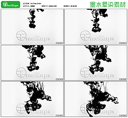 中國(guó)風(fēng)水墨動(dòng)畫(huà)素材03