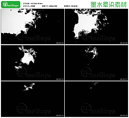 中國風(fēng)水墨動畫素材10