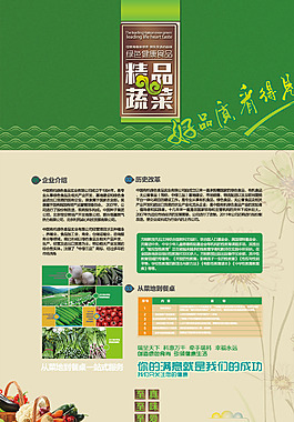 蔬菜海报