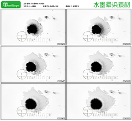 中國(guó)風(fēng)水墨暈染動(dòng)畫(huà)素材10