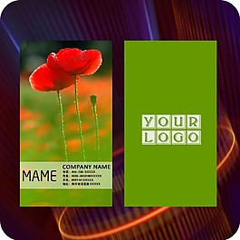 知名企業(yè)名片