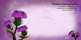 紫色唯美鮮花浪漫海報(bào)背景