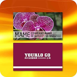 知名企業(yè)名片