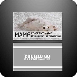 知名企業(yè)名片