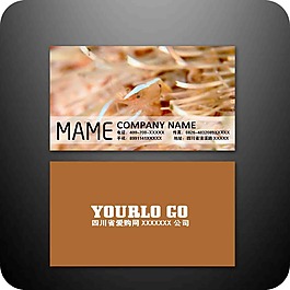 知名企業(yè)名片