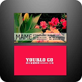 知名企業(yè)名片