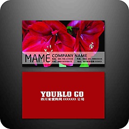 知名企業(yè)名片