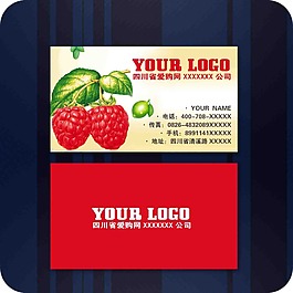 知名企業(yè)名片