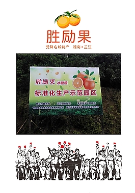 芷江冰糖橙勝勵果基地描述簡介