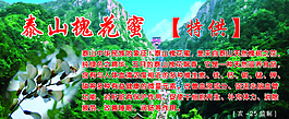 泰山槐花蜜圖片