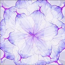紫色對(duì)稱(chēng)花紋