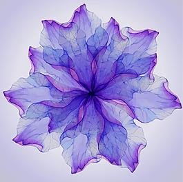 彩色唯美花朵綻放