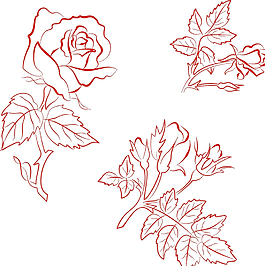 玫瑰花素描圖片