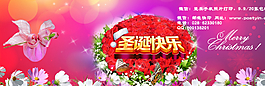 圣诞节鲜花图片