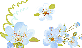 藍(lán)色 唯美花朵圖片