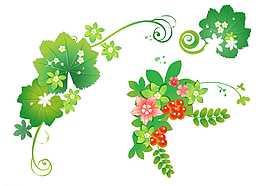 矢量樹葉 花藤圖片